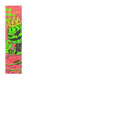 {"builder":"build-your-custom-scooter","position":5}