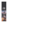 {"builder":"build-your-custom-scooter","position":5}