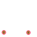 Proto Grippers Signature Wheels - Moon Child - 110mm - Pair