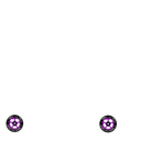 Proto Slider Spoked Wheels - 110mm - Black on Purple - Pair