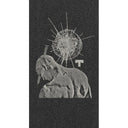 Tilt Puncture Scooter Griptape - Bones No.80