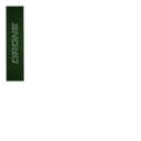 {"builder":"build-your-custom-scooter","position":5}